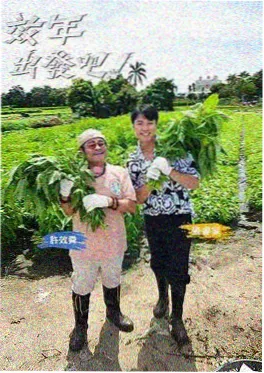 悬疑推理综艺推荐 推理之夜
